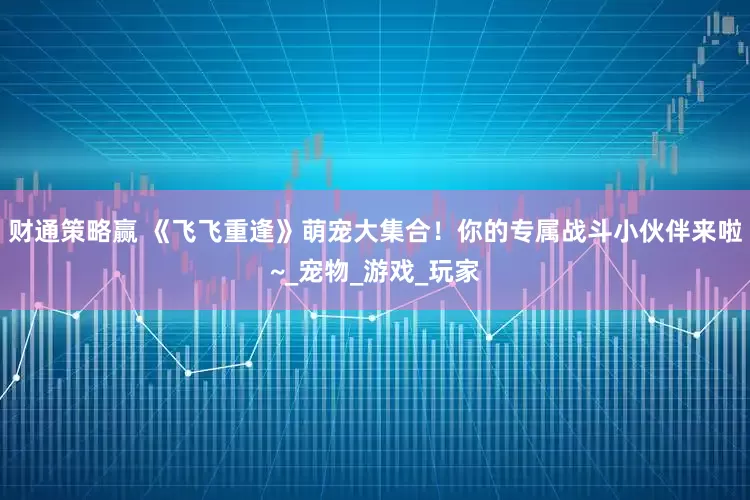 财通策略赢 《飞飞重逢》萌宠大集合！你的专属战斗小伙伴来啦~_宠物_游戏_玩家